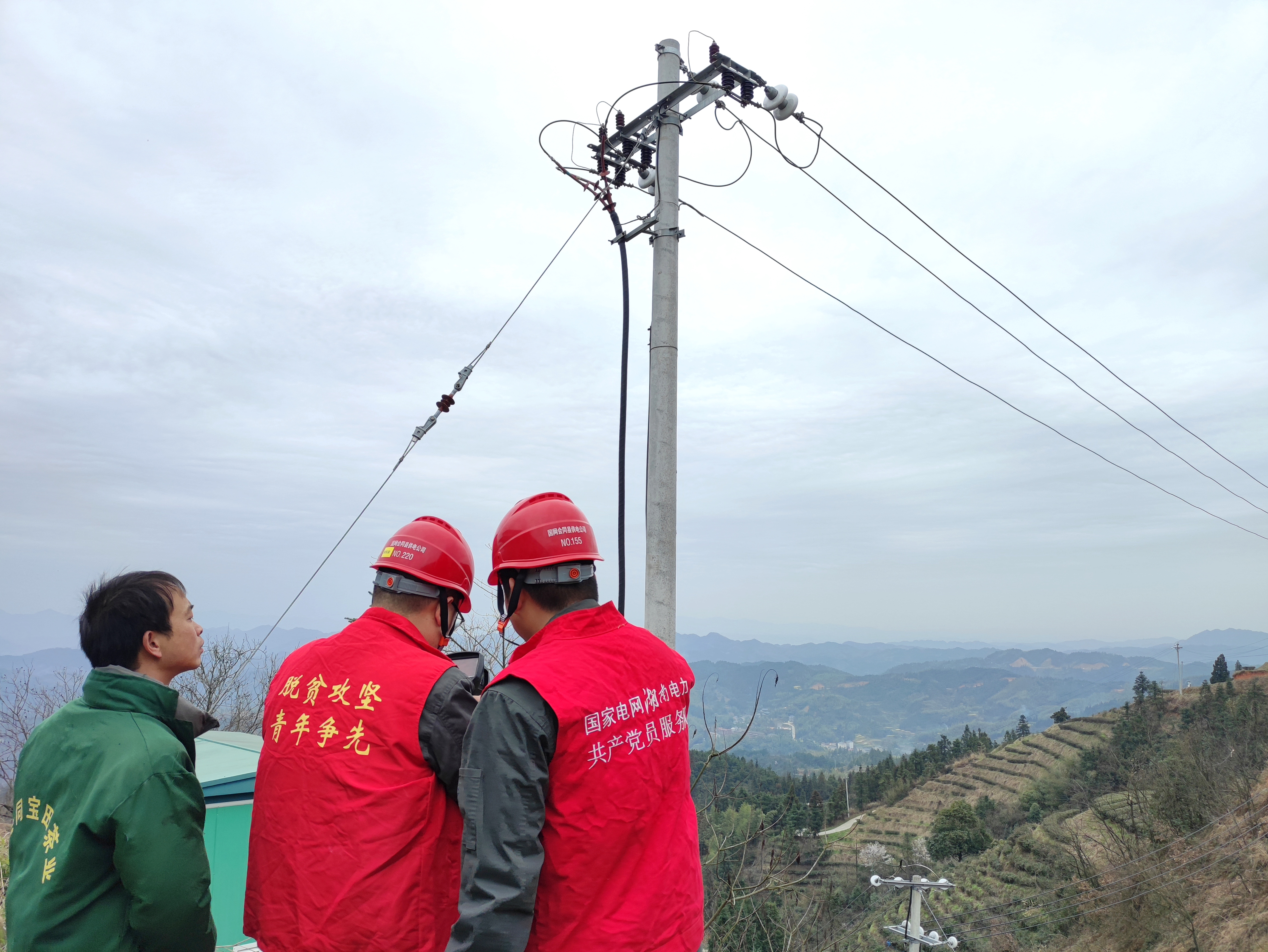 會同縣供電公司：“大地指紋”茶園忙 用電檢查助春耕